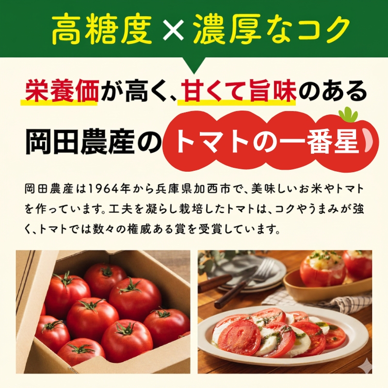 トマト 1kg トマトの一番星 野菜 とまと 完熟 高糖度 甘い 受