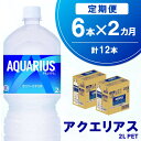 【ふるさと納税】【2か月定期便】アクエリアス PET 2L (6本×2回)【アクエリ スポーツ飲料 夏バテ予防 水分補給 2L 2リットル ペットボトル ペット スポーツ イベント】A1-R090346