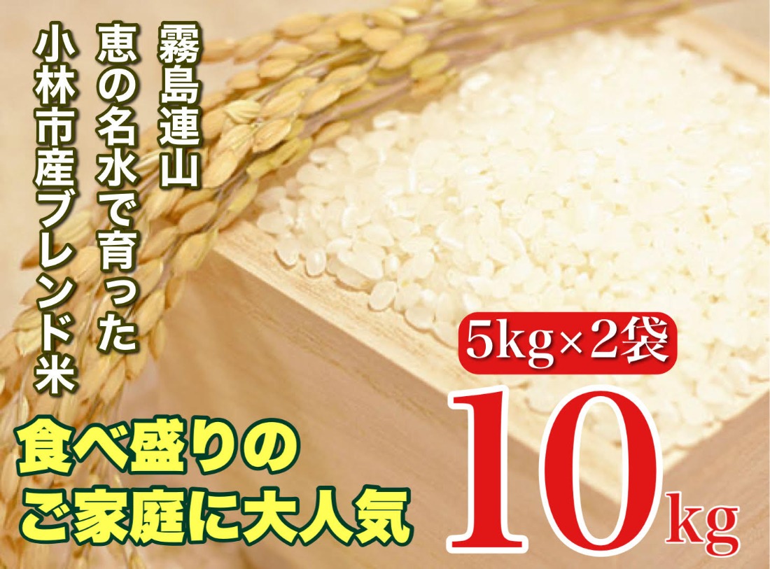 【生活応援米】湧水で育った小林市産ブレンド米 10kg（5kg×2袋 お米 米 ブレンド米 白米 精米 家庭用）