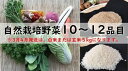 【ふるさと納税】　自然栽培野菜10〜12品目（3月4月は白米または玄米5kg）BI-8　野菜 野菜詰め合わせ やさい セット 野菜ボックス 10種類 旬の野菜をお届け 送料無料 国産 茨城県産