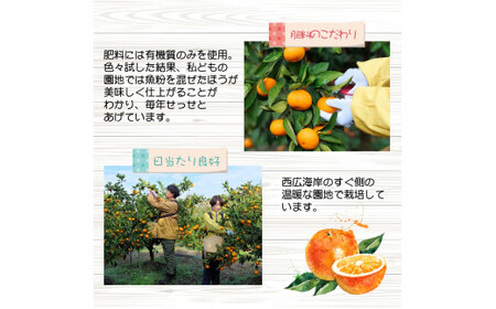 久幸園 完熟 有田みかん 7kg　※2024年11月より順次発送予定【hsk004-r-7】