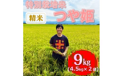 【令和7年産・精米】ecofarmすがわらの特別栽培米つや姫9kg　※10月下旬ごろから順次発送開始