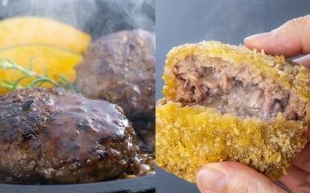定期便 豊後・米仕上牛 食べ尽し定期便