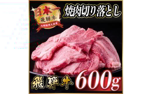 飛騨牛 焼肉 切り落とし 約600g(約300g×2)訳あり＜冷蔵便＞【1543372】