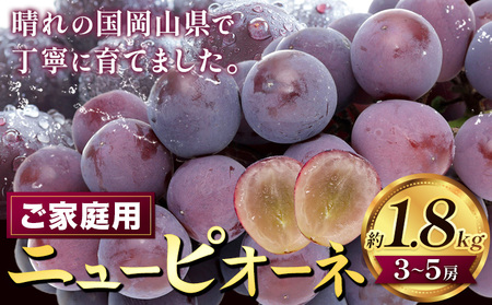 【2026年先行予約】ぶどう ニューピオーネ ご家庭用 約 1.8kg 3～5房《2026年8月上旬-9月中旬頃出荷》株式会社fruceed ぶどう 送料無料 岡山県 浅口市 ぶどう フルーツ 果物 くだもの ピオーネ 家庭用 st-p