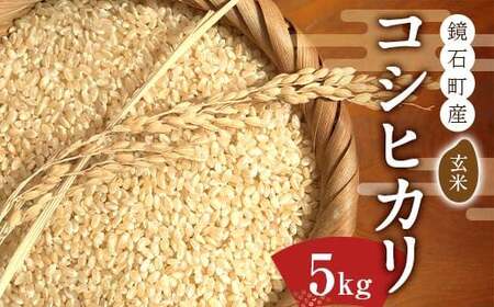 令和7年産 鏡石町産コシヒカリ玄米 5kg 米 コメ こめ F6Q-489