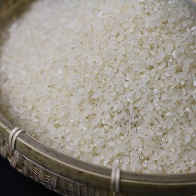 ふるさと納税 近江八幡市 令和7年産　近江米【秋の詩 10kg】環境こだわり米 |  | 01