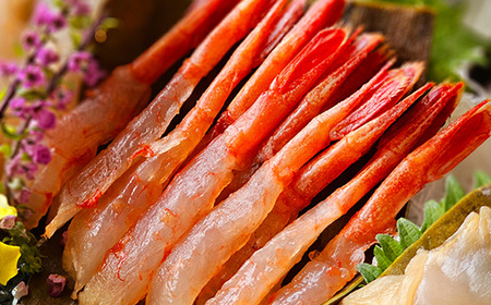 究極の昆布〆、2段5種盛（急速冷凍品）魚卸問屋はりたや 富山県魚津市 昆布締め こぶじめ 刺身 天然昆布