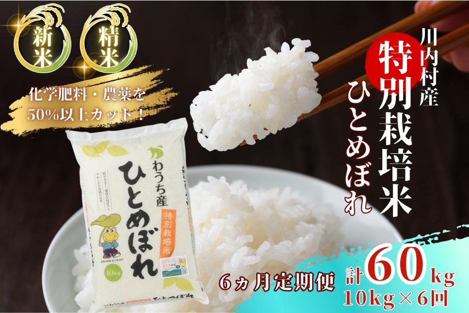 
                  【定期便6回】 特別栽培米 ひとめぼれ 10kg×6ヵ月 （令和7年度かわうち産）
                