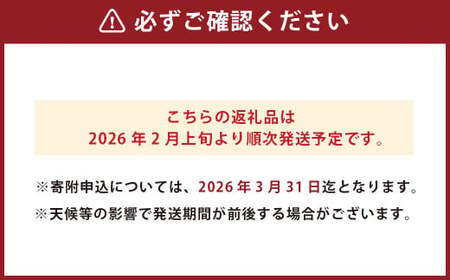 甘夏みかん 約10kg（1個あたり約300-350g、約25個～30個入り） 甘夏 柑橘 みかん 蜜柑【2026年2月上旬発送開始】