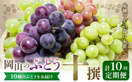 【2027年発送先行予約】【10回定期便】岡山のぶどう 十撰 10種 計7kg【配送不可地域あり】