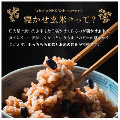 ふるさと納税 稲敷市 【毎月定期便】寝かせ玄米ごはんパック4種ミックス 【160g×12食】全3回 |  | 01