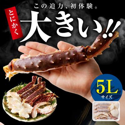 ふるさと納税 泉佐野市 生タラバガニ 1kg 大型 5Lサイズ カット済み 訳あり 規格外 kgp0002 |  | 01