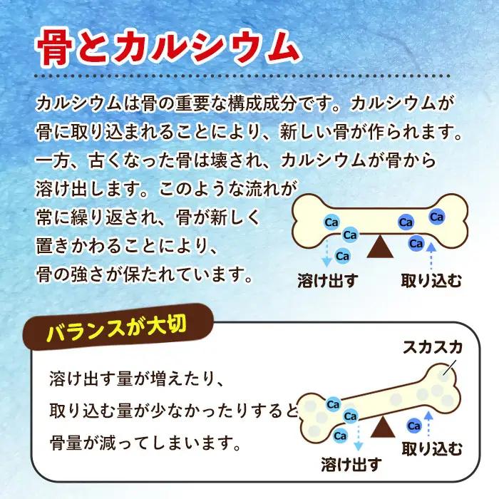 No.1289-A ＜定期便・全3回(隔月)＞カルシウム(1袋186粒入・2袋×3回 計6袋) 鹿児島 日置市 健康食品 サプリ 栄養バランス 食生活 安心安全 カルシウム 乳製品 歯 骨 にぼし 煮