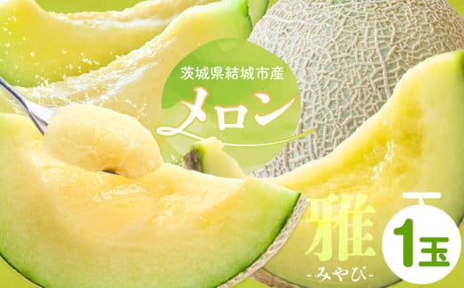 【令和7年先行予約】 茨城県結城市産 メロン 雅 1玉 稲葉ファーム《9月下旬-10月中旬頃出荷予定》茨城県 結城市 送料無料 フルーツ 果物 高級メロン お取り寄せ 旬 産地直送 贈り物 お取り寄せフルーツ