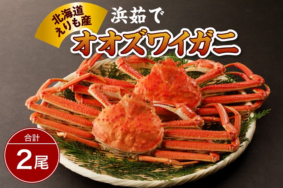 
            【2026年1月下旬以降発送】浜茹でオオズワイガニ２尾【えりも産】
          