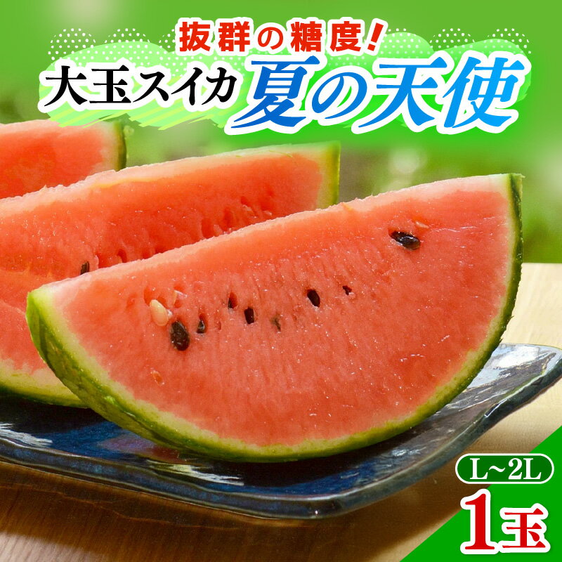 【ふるさと納税】【先行予約】大玉スイカ「夏の天使」 1玉入（L~2L）抜群の糖度で甘い！／ 期間限定 果物 フルーツ 西瓜 産地直送 ※2025年7月中旬より順次発送