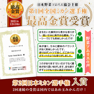 i571 ＜2024年11月下旬～2025年1月下旬の間に発送予定＞【特別栽培・最高金賞】温州みかん日本一！濃甘あめ玉みかん(計約12kg・6kg×2箱＋傷み保障 約200g(3～4玉) みかん 蜜柑