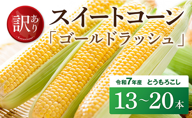 
【訳あり】令和7年発送　宮崎県産とうもろこし　スイートコーン「ゴールドラッシュ」13～20本【新鮮 農家直送 トウモロコシ 産地直送 季節限定 期間限定 宮崎県産 九州産】
