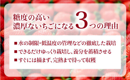 【先行予約受付中・2024年3月より順次発送】完熟冷凍あまおう 1kg 糸島市 / slowberry strawberry[APJ006] いちご 苺 イチゴ あまおう 果物 フルーツ ストロベリー