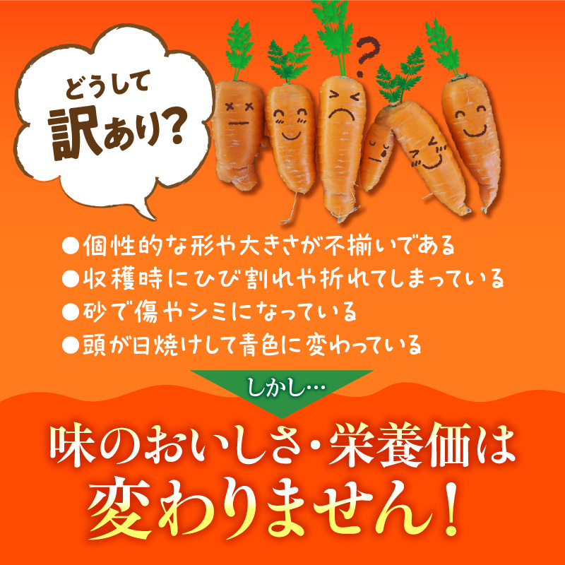＜フジテレビ『どっちのふるさと？』で紹介されました！＞ 【期間限定】訳あり！こどもも食べられる甘み！「マドンナキャロット」 2kg にんじん 人参 ニンジン 野菜 やさい 国産 碧南市 健康 食品ロス削減 甘い 先行予約 旬 特産 高評価 高リピート 人気 H105-134