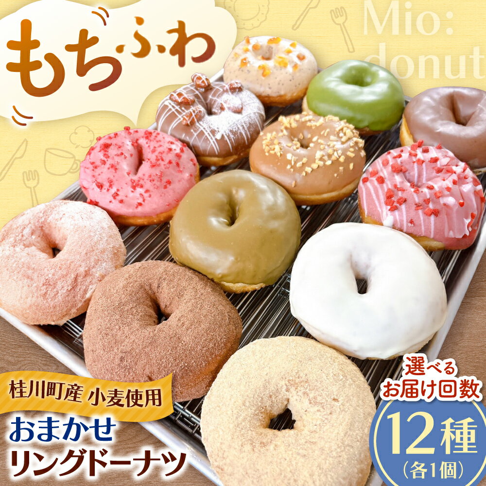 【ふるさと納税】ふわもちリングドーナツ 12種セット ▼ドーナツ ドーナッツ 洋菓子 菓子 お菓子 スイーツ 桂川町/Mio:Donut[ADBH037] 15000 以上 15000円 以上 1万円 以上