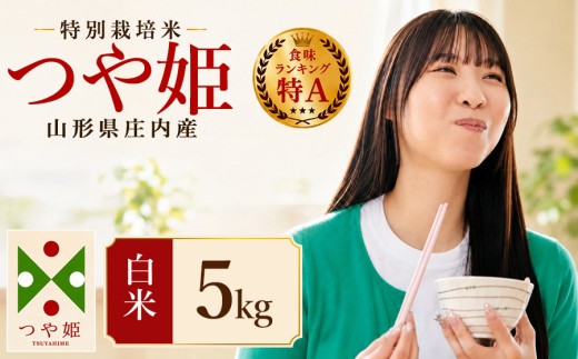 【令和7年産】 特別栽培米 つや姫 精米 5kg (5kg×1袋)　山形県 庄内産 　| つやひめ 5キロ 米 お米 コメ 白米 食品 ご飯 ごはん 美味しい おいしい ブランド米 エコ包装 おすすめ 人気 山形県 鶴岡市 東北 国産 お取り寄せ SDGs未来都市鶴岡 返礼品
