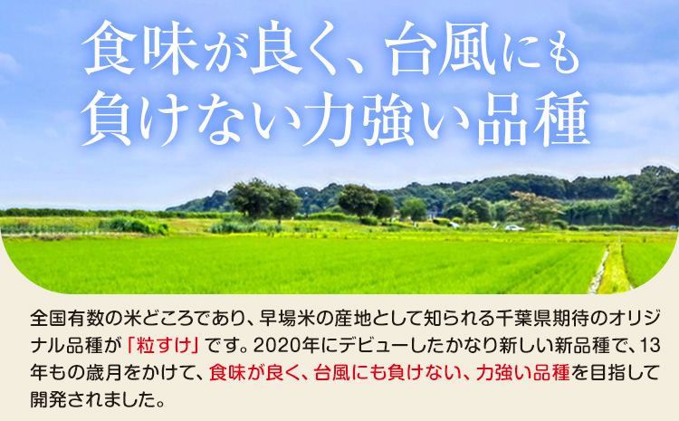 千葉県産 粒すけ 白米 5kg《30日以内に出荷予定(土日祝除く)》令和8年産 千葉県 勝浦市 米 お米 千葉県産 精米【配送不可地域あり】(離島)