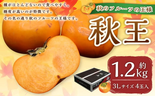 福岡県ブランド柿「秋王」約1.2kg 3Lサイズ 4玉入り 柿 カキ かき 果物 くだもの フルーツ 【2024年10月下旬～11月下旬発送予定】