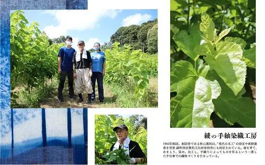 桑の葉茶 お茶【小石丸のきもち】 おまけ 小石丸の繭付き スキンケア フェイスケア_A0027-019