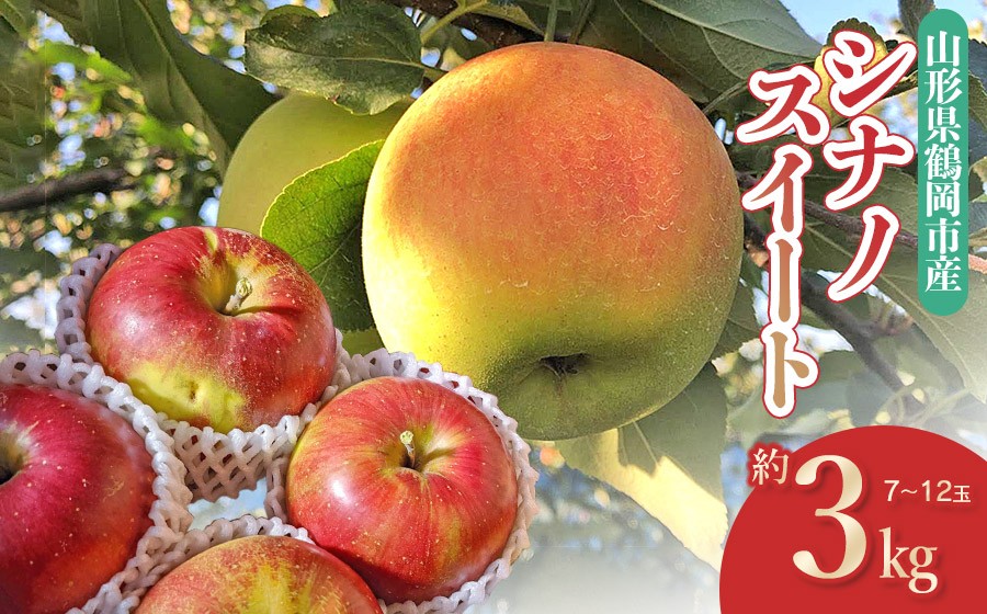 
                  【令和8年産先行予約】　山形県鶴岡産 りんご シナノスイート　約3kg（7～12玉）　庄内産直センター　| リンゴ 林檎 フルーツ 果物 くだもの 旬 産地直送 期間限定 人気 美味しい お取り寄せ 庄内 東北 返礼品
                