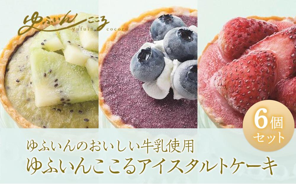 ゆふいんここる【アイスタルトケーキ】6個セット（ベリーツ苺・ブルーベリー・キウイ）＜ゆふいんのおいしい牛乳＞