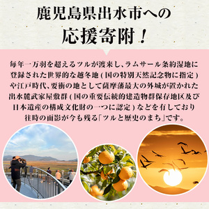 i902 ≪返礼品なし・1,000円≫鹿児島県出水市への寄附【出水市役所】