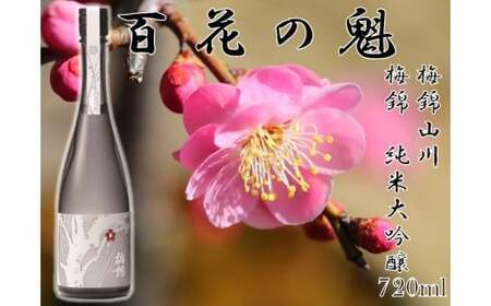 極上大吟醸酒Ｅセット 日本酒 愛媛県 (075-1)