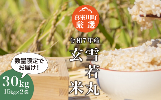 ★数量限定★ ＜令和7年産 雪若丸＞【玄米】 30kg （15kg×2袋）＜配送時期指定可＞　真室川町