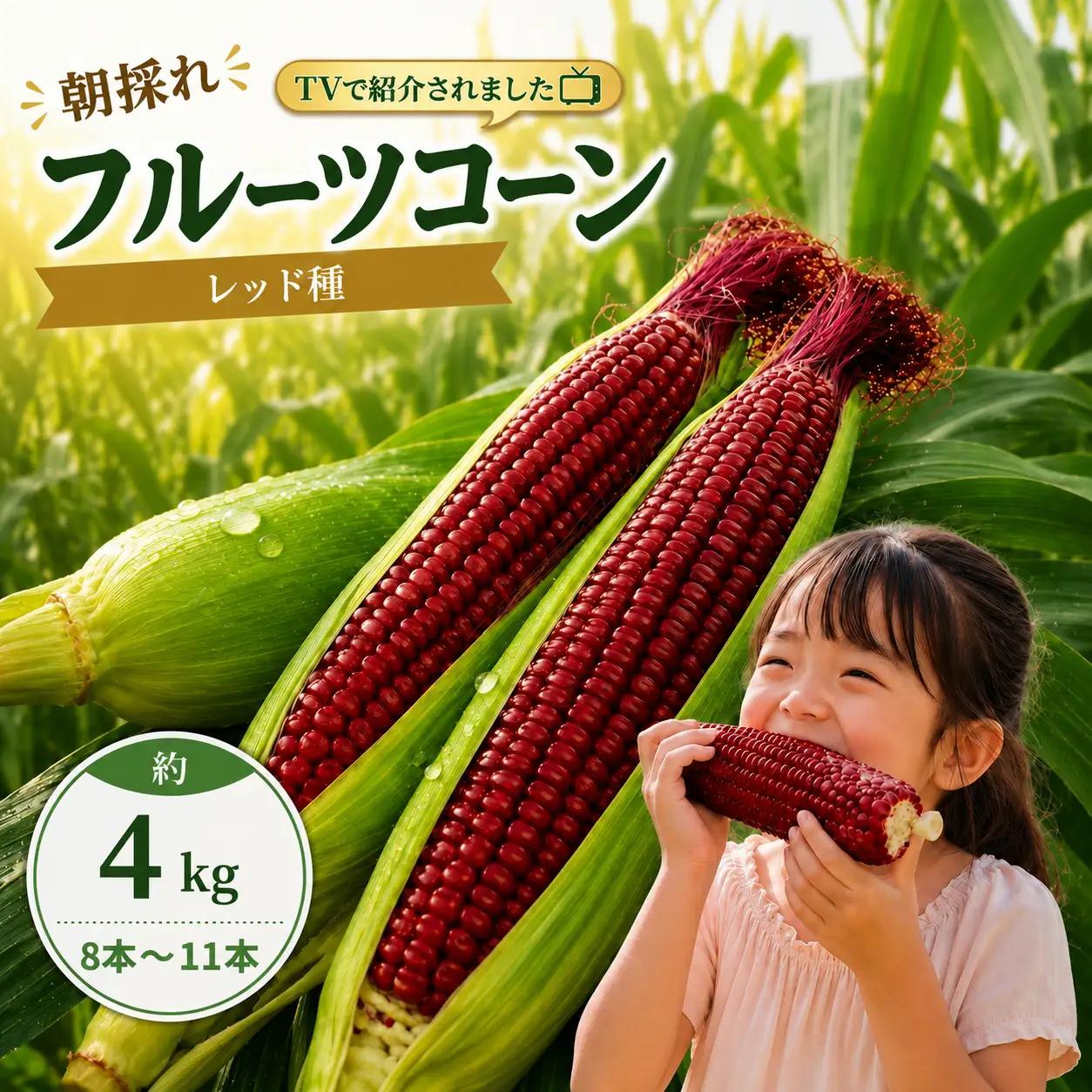 【2027年先行予約】 フルーツコーン レッド種 約4kg(8～11本) とうもろこし