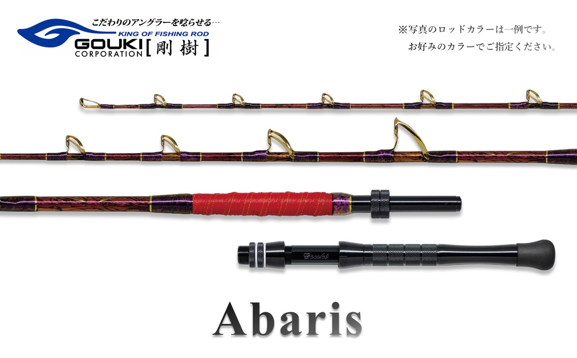 剛樹 アバリス235 （ABARIS 235M） 235cm ウェイト負荷200-350号 釣り 釣具 釣竿 ロッド 釣り用品 釣り竿 海釣り 