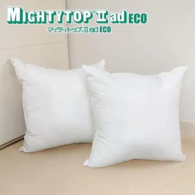 ヌード 中材 背当クッション 帝人 防ダニ 抗菌防臭2個セット_【G0813】