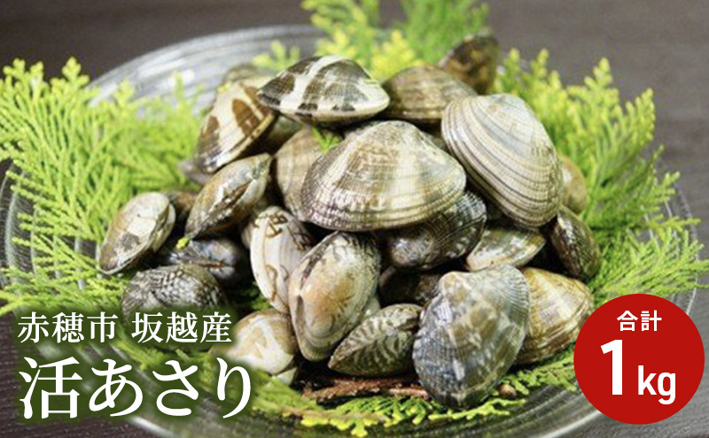 
兵庫県 赤穂市 坂越産 活あさり 1kg
