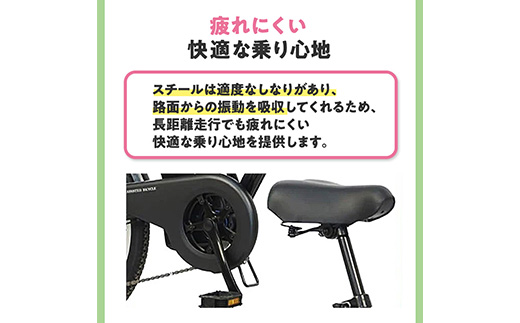 PELTECH 20インチ 折り畳み電動アシスト自転車 外装6段変速【簡易組立必要品】マットブラック【配送不可地域：沖縄県】