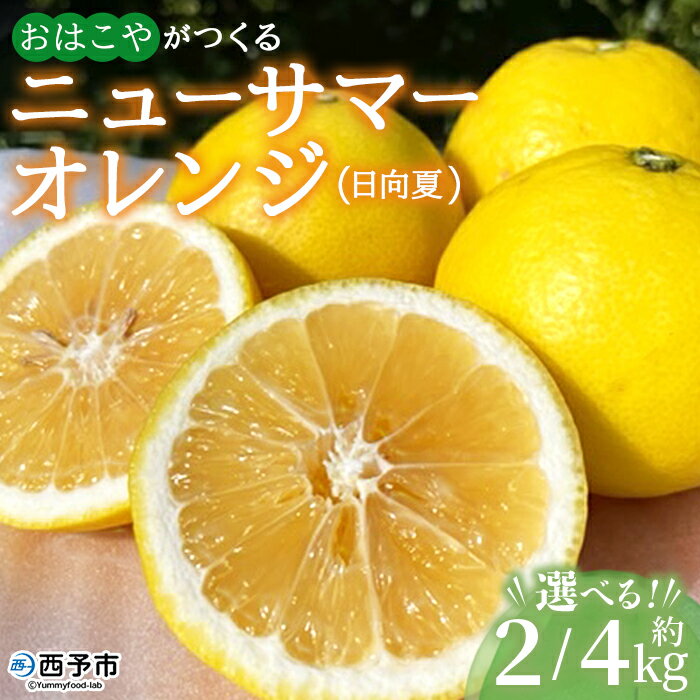 【ふるさと納税】＜おはこやがつくる ニューサマーオレンジ（日向夏） 約2/4kg（L～3Lサイズ）＞ 果物 くだもの フルーツ 柑橘 ミカン 蜜柑 みかん にゅーさまーおれんじ 日向夏 小夏 特産品 西宇和 愛媛県 西予市【常温】『2026年4月上旬から4月下旬迄に順次出荷予定』