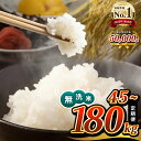 【ふるさと納税】【定期便3・6・12回】令和6年産 無洗米 ほたるの灯り 15kg ( 5kg × 3袋 ) 定期 45kg 90kg 180kg 米 大容量 国産 熊本県 和水町 ごはん ブレンド米 オリジナル 複数原料米 日本遺産菊池川流域 便利 節水 訳あり米