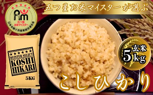 
            棚田米コシヒカリ玄米5kg
          