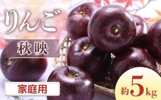 I-2 りんご　秋映 約5kg（10～18玉入り）※家庭用※ ＜2025年発送　先行予約分＞