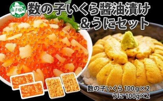 
										
										2924. 数の子・いくら醤油漬け 100g イクラ 魚卵 うに ウニ チリ産 冷凍 雲丹 100g前後 2パック 計200g いくら 海鮮 海鮮丼 送料無料 北海道 弟子屈町
									