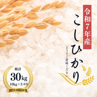 ふるさと納税 福島市 【令和7年産】大文字屋米穀店【定期便3回】コシヒカリ 10kg　精米　No.1497