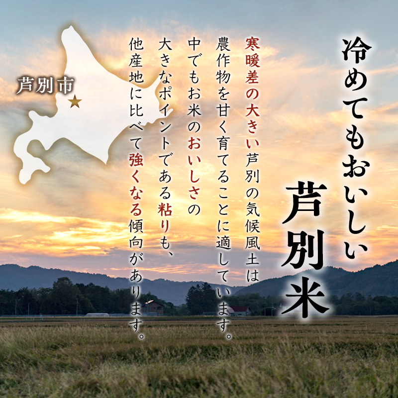 3ヵ月定期便 【R6年産先行受付】 ゆめぴりか 10kg (5kg×2袋) 農家直送 精米 白米 お米 ご飯 米 北海道米 北海道 芦別市 芦別RICE