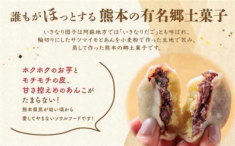 熊本郷土菓子 いきなりだんご 10個 冷凍 保存可 郷土菓子 スイーツ 和菓子 お菓子 人気 美味しい 団子 熊本県 阿蘇市 プレーン(10個)