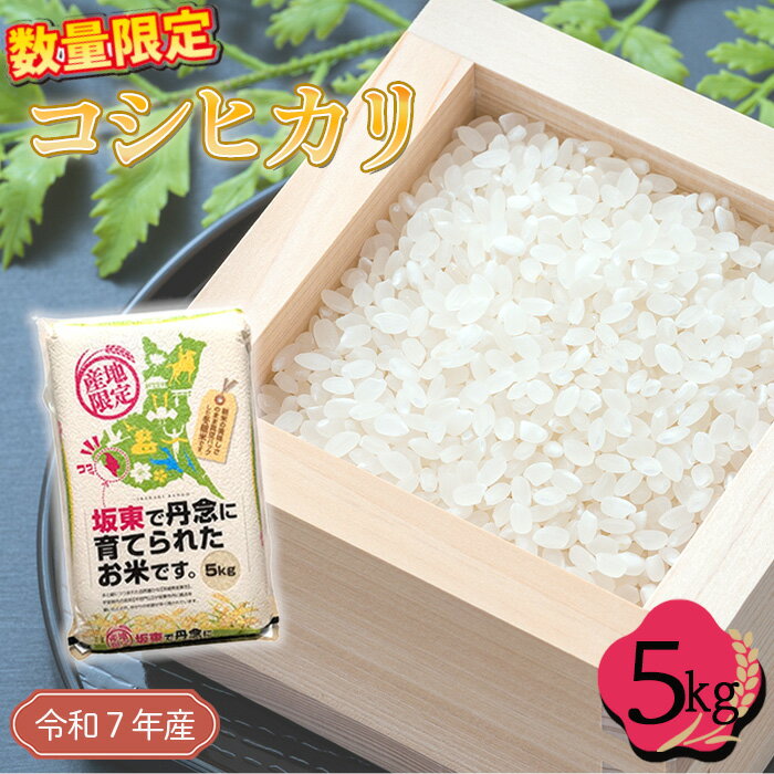 【ふるさと納税】 「令和7年産米」コシヒカリ　5kg ／ 令和7年 新米 米 お米 精米 白米 ご飯 国産米 5kg 5キロ こしひかり 甘み 粘り 真空 真空パック 買い置き おいしい お取り寄せ 産地直送 産直 No.763