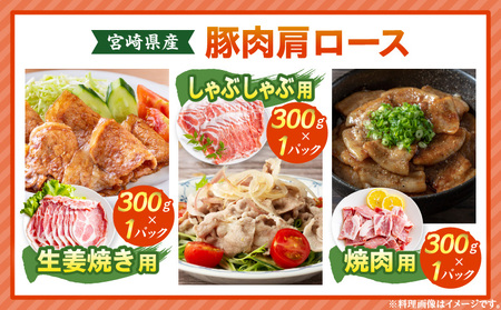 宮崎県産豚肉バラエティセット5kg 小間切れ 小分け バラエティセット